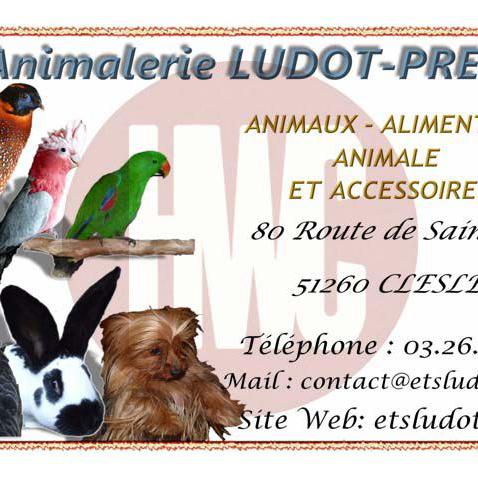Carte de visite